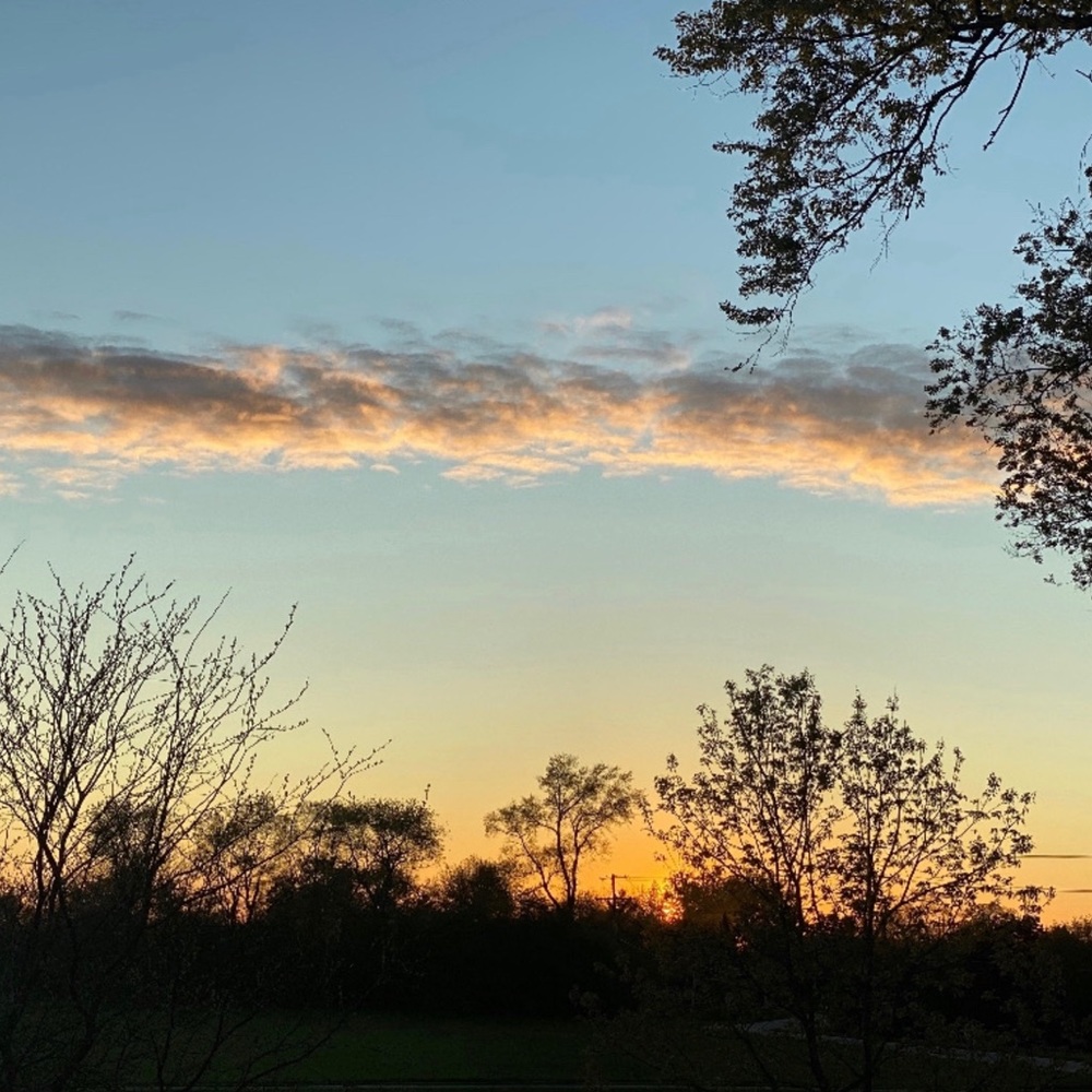 Meet your Posher, Ella